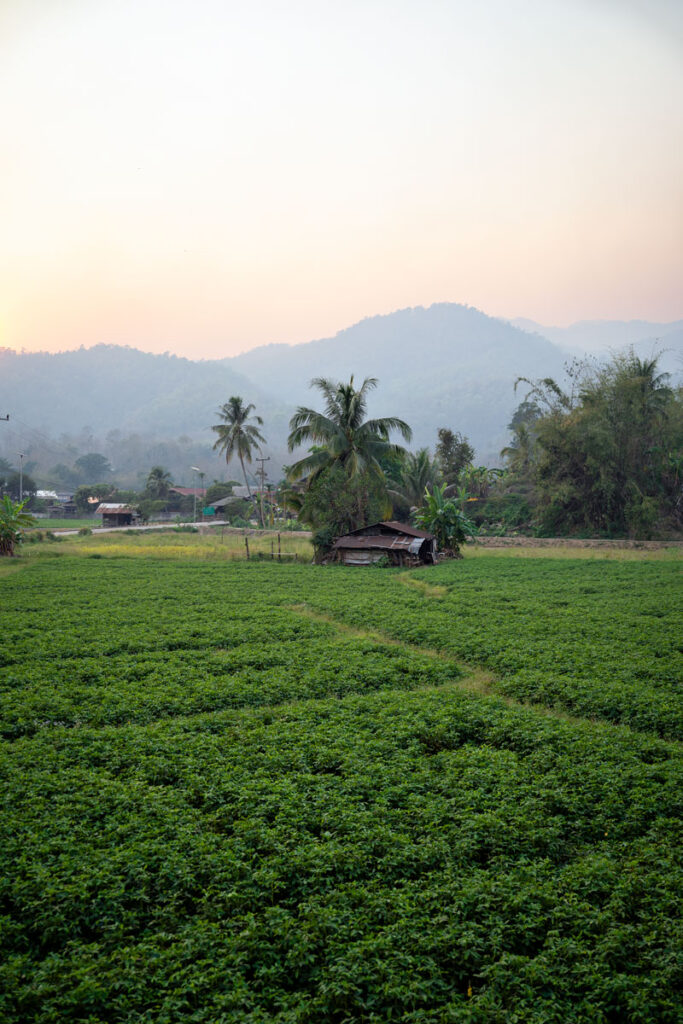 Su Tong Pae Bridge in Mae Hong Son