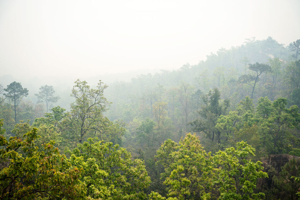 Pai Canyon