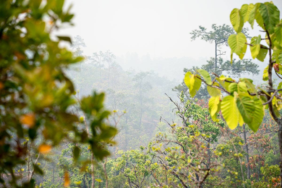 Pai Canyon
