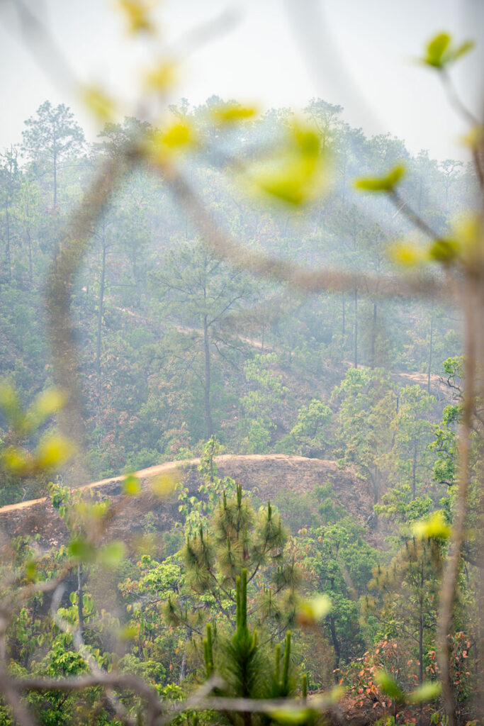 Pai Canyon