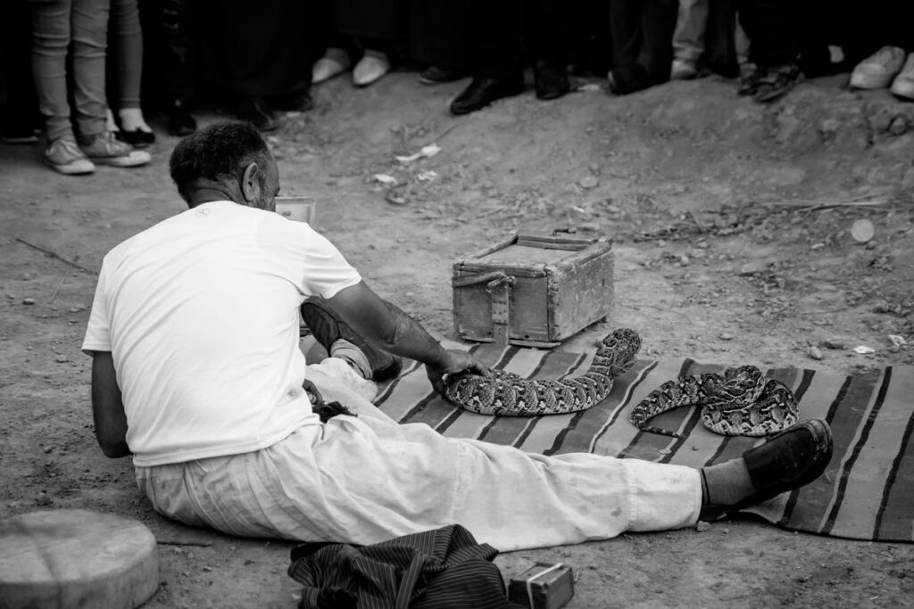 Moroccan Snake Charmer