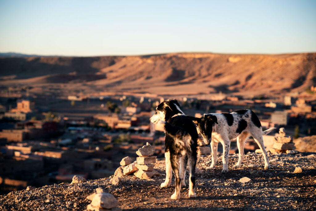 Aït-Ben-Haddou