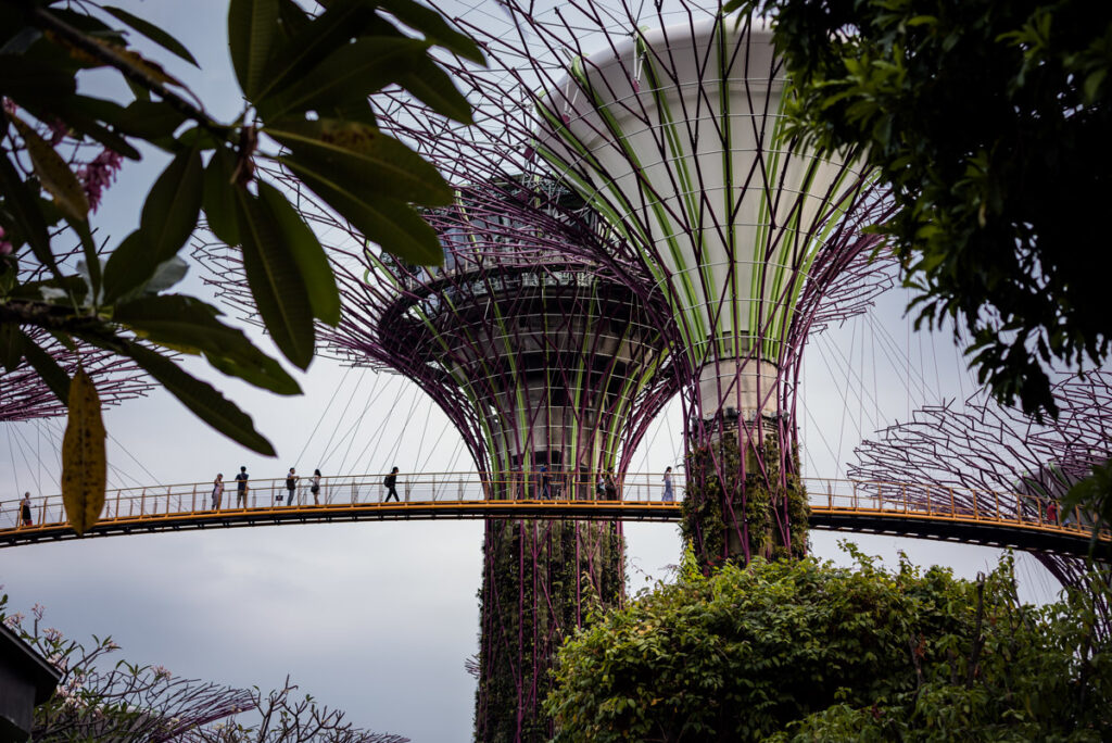 Super Tree Walk