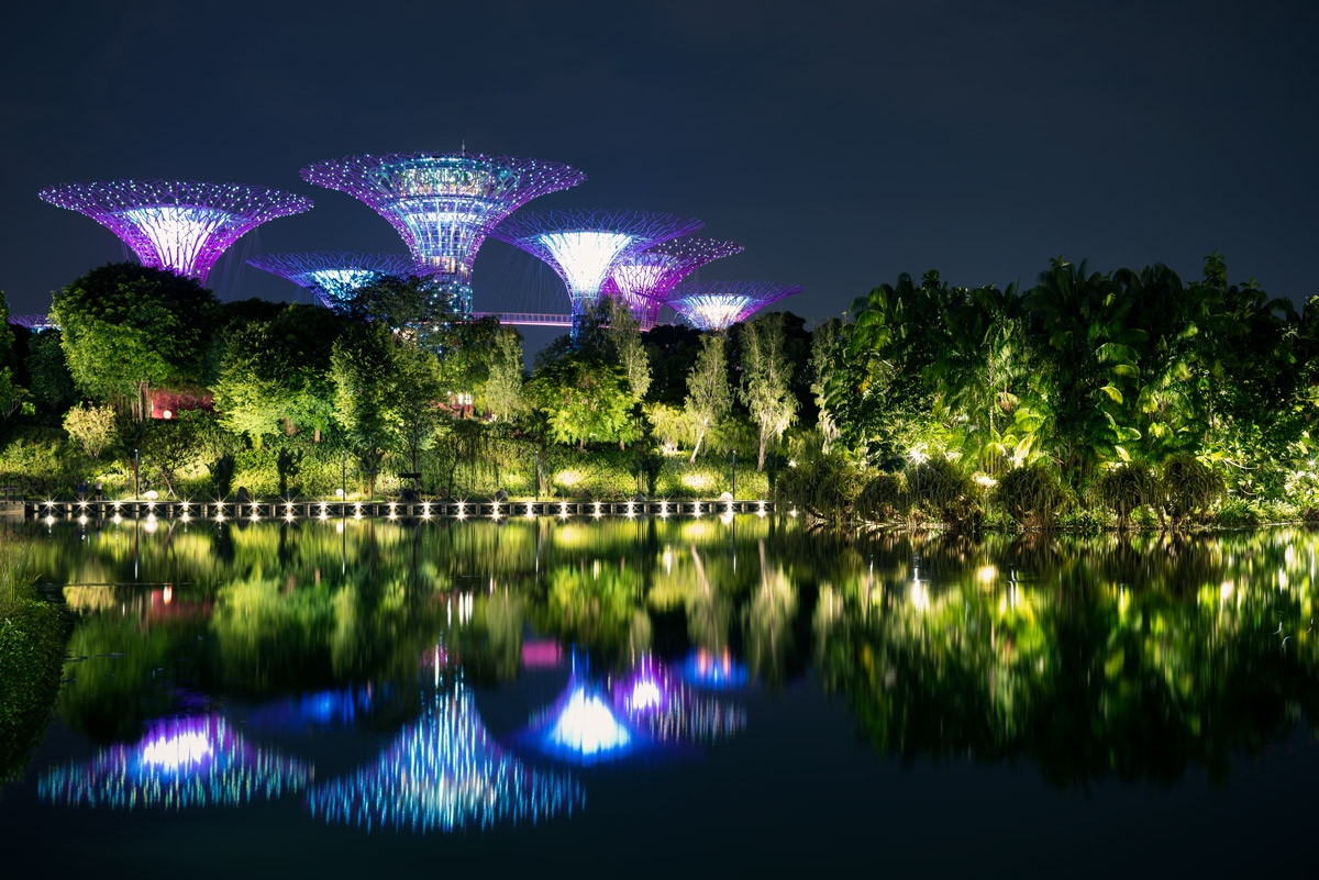 Super Trees at Night