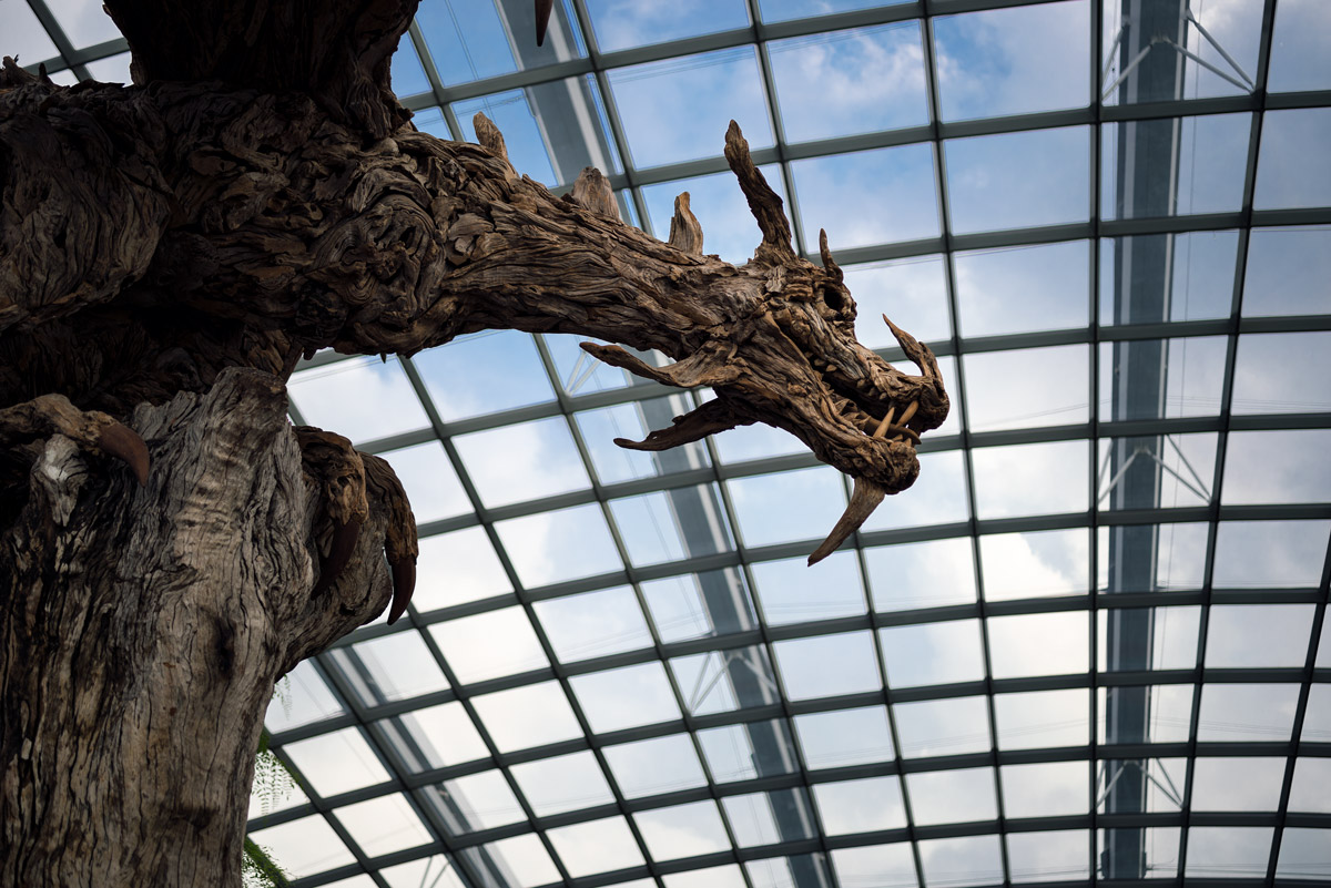 Wooden Dragon at Gardens by the Bay in Singapore